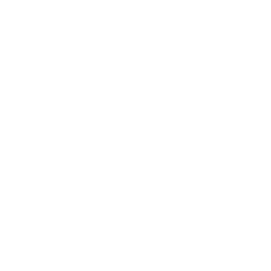 Lidl white logo